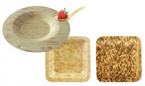 bamboo-plates-no-logo