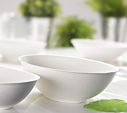 Sugarcane Serving Bowls