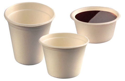 sugarcane-cups
